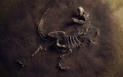 Vad dinosauriefossil kan lära oss om cancer